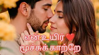 ❤️❤️நீங்கள் விரும்பிய நபர் உங்களைத் தேடி சுவாசக் காற்றாய் உங்களுக்குள் வர துடிக்கின்றார் #twinflame 
