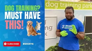 best carpet cleaners near me White Marsh, MD I 410-210-4580 #cleaning #shorts