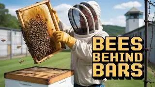 Watch This Beekeeper Rescue 10,000 Bees from Prison