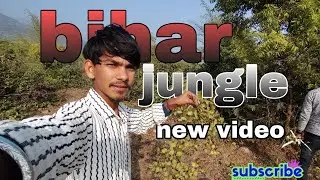 Daily vlog for Instagram support first block jungle Bihar mein video please subscribe 👍🙏