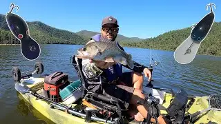 Bass and Yellow Belly @ Lake Borumba Kayak Fishing