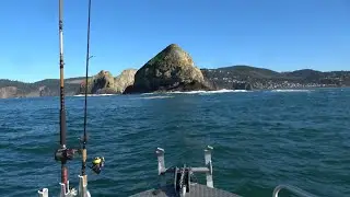 Oregon Coast Lingcod & Rockfish in January&hellip; Then THIS Chinook Shows Up