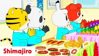 🏫✨ It’s your Day, Sensei! 🐯 Shimajiro’s Stories of Learning & Gratitude 📚💛 Videos for Kids 👩‍🏫
