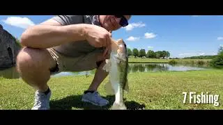 Big bass on a sunny day / Fishing for bigs