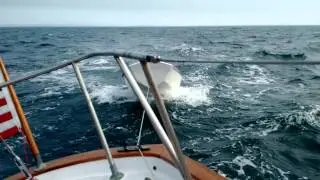 Sailing Magic back from Martha's Vineyard