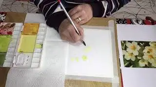 Primula Watercolour Demo