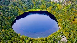 Lake Feldsee (Feldberg) surrounded by forest | Aerial (4K)