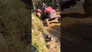 ARJUN 555 check ✅ the power #automobile #farming #jattlife #arjun #tractor #viralvideo