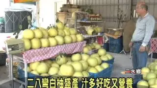 1021119 14二八彎白柚盛產 汁多好吃又營養