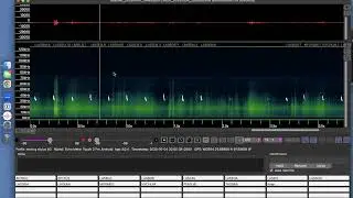 Bat Echolocation Recordings from Wildlife Acoustics Kaleidoscope