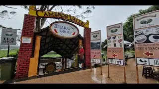 Honey Farm | Tea Valley | Brinchang | Cameron Highland | Malaysia