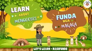 Animals For Kids: Mongoose Facts| Amaqaqa | ENGLISH & XHOSA Vocabulary