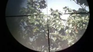 Gamo CFX .177 target shot groups at 50 yards on a leaf with Leapers 3-9x32 scope