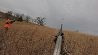 Iowa Pheasant Hunting