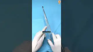 🩺 OVUM FORCEPS | GYNECOLOGY INSTRUMENT EXPLAINED | USES & FEATURES