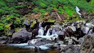 Emotional Healing with Relaxing River Sound – Sleep, Calm and Mind Peace