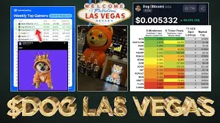 $DOG Dominates BTC Las Vegas (CMC Top Weekly Gainer 🎉)