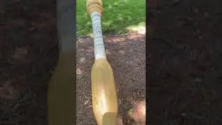 Camwood bat