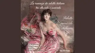 Allons voir