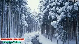 SENTIMIENTOS PROFUNDOS - Santiago Vallejo