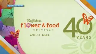 Daytime Tri-Cities LIVE at Dollywood's 40th anniversary (Flower & Food Festival)