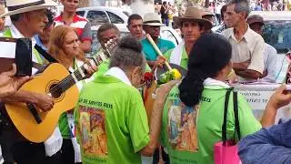 Folia de reis festa de Trindade 2015