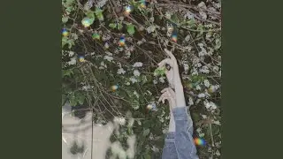 Лето
