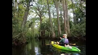 Loxahatchee River