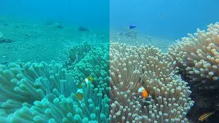 Dive footage color correction for free with Python