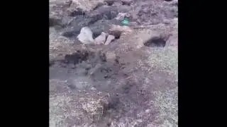 NUEVA INFORMACIÓN, NUEVO VOLCAN EN MEXICO, MICHOACAN 11/07/2017