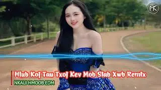 Hlub Koj Tau Txoj Kev Mob Siab Xwb Remix | Nkauj Hmoob EDM Remix Kho Siab Tshaj Plaws Li