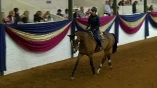 Callaho Auction 2017