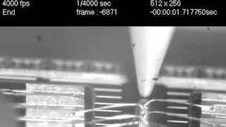 Wire Bond Tape finger process