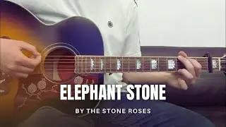 The Stone Roses - Elephant Stone (cover)