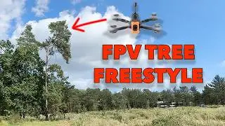 DROHNE im H&Ouml;CHSTEN BAUM VERSENKT 🌲😭🚁 | FPV TREE FREESTYLE 