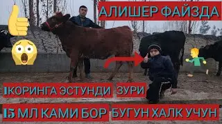 АЛИШЕР ФАЙЗДА ЭСТУНДИ ЗУЛАРИДАН ОЛИБ КЕЛДИ 1КОРИНГА ПУЛИ АРЗОН БУГОЗЛАР СОТЛАДИ 