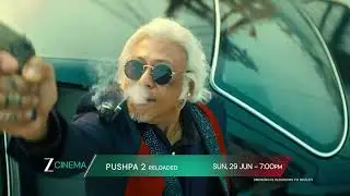 Pushpa 2 Reloaded | 20 Extra Minutes | Sun, 29 Jun, 7 PM | Promo | Zee Cinema
