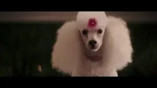 G&Auml;NSEHAUT -TV Spot 