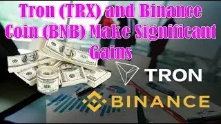 Tron (TRX) and Binance Coin (BNB) Make Significant Gains Ahead of the BitTorrent (BTT) Token Sale