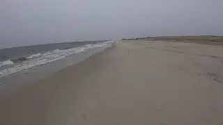 Jones Beach NY Live