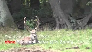 Bildstabilisator - Panasonic HDC-SDX1