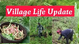 Village Life Update #MS Local clips