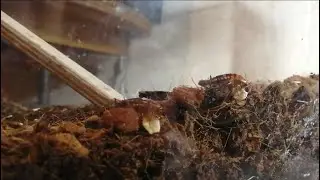 Последний обед
