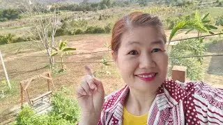 สวัสดีค่ะพูดคุยทักทายกันค่ะ🙏😊🌹