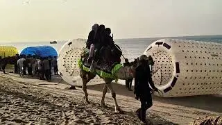 Mandvi Beach festival 🎎🥮