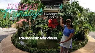 Miami Mondays Ep  26 Pinecrest Gardens