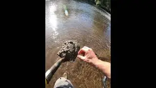 Daily Digs - What Is In The Hole Today? #metaldetecting #treasure #metaldetector #dailydigs
