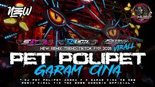 DJ PET POLIPET ANGKA 7 VIRALL TIK TOK 2025 || NEW REMIX DDMUSIC OFFICIAL