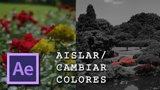 Aislar o Cambiar Colores - After Effects al instante