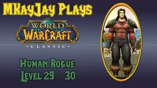 WoW Classic - Rogue Level 29 - 30 Timelapse - Talking Rogue Stats